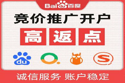 某企业通过SEM实现品牌与销售双增长的案例